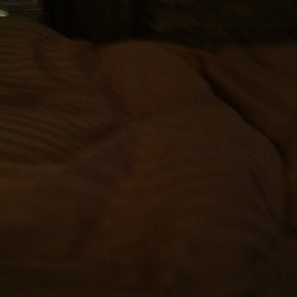 Meet your Posher, Judy - Picture 1 of 1